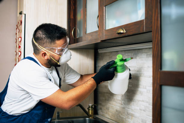 Best Cockroach Control Services  in Ambridge, PA