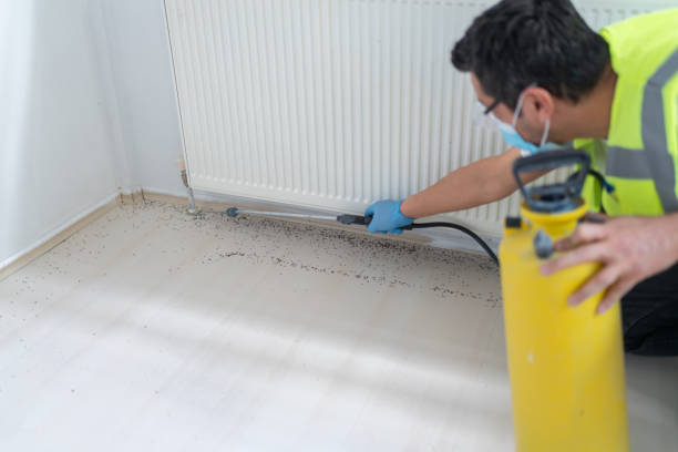 Best Best Pest Control Companies  in Ambridge, PA