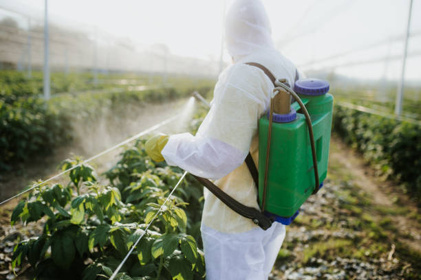 Best Flea Control Services  in Ambridge, PA